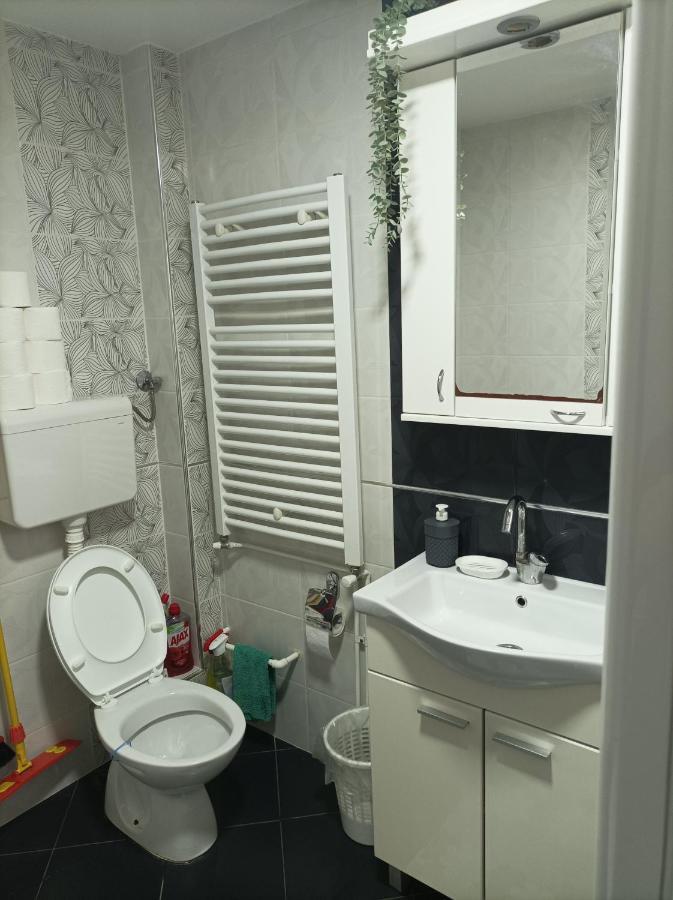 Ariana Apartman Kragujevac Exteriér fotografie